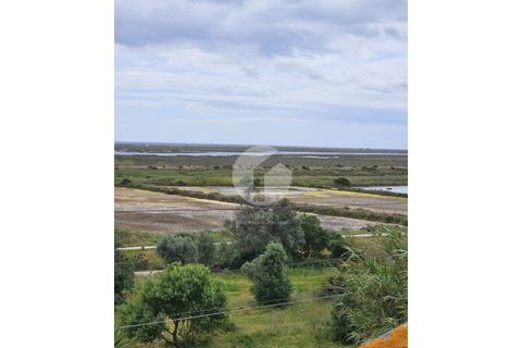 Villa a Moncarapacho, Faro, Moncarapacho - € 700.000 | Ref: 360P-1464 - foto 41