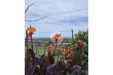 Villa a Moncarapacho, Faro, Moncarapacho - € 700.000 | Ref: 360P-1464 - foto 44