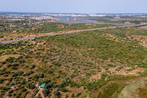 Helårsgrund i Estombar, Faro, Estombar - € 380.000 | Ref: City-26-46C - foto 11