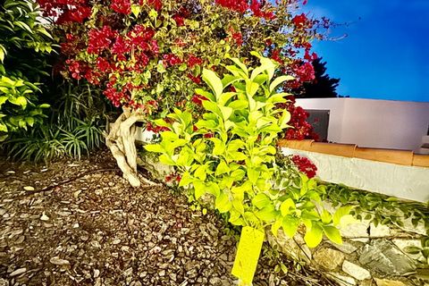 Villa i Almunecar, Granada, Almunecar - € 630.000 | Ref: T003 - foto 27