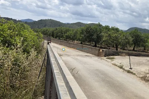 Terra a Oliva, Valencia, Oliva - € 18.000 | Ref: PNPT302 - foto 12