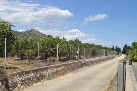 Terra a Oliva, Valencia, Oliva - € 18.000 | Ref: PNPT302 - foto 11