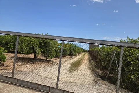 Terra a Oliva, Valencia, Oliva - € 18.000 | Ref: PNPT302 - foto 13