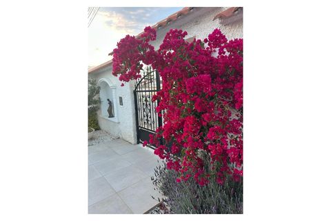 Villa a Torrevieja, Alicante, Torrevieja - € 645.000 | Ref: CBE02-316 - foto 42