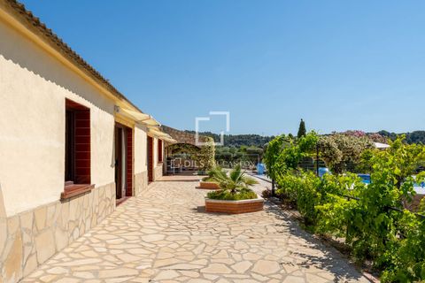 Villa em Flix, Tarragona, Flix - € 745.000 | Ref: TAR69994 - foto 9