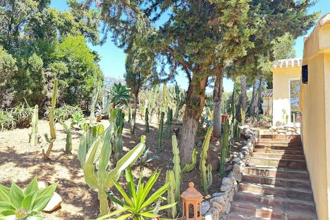 Villa a Marbella, Malaga, Marbella - € 2.950.000 | Ref: 5390449 - foto 45
