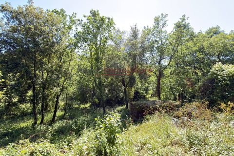 Landejendom i Itri, Latina, Itri - € 149.000 | Ref: G319 - foto 9