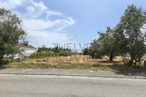 Helårsgrund i Pombal, Leiria, Pombal - € 119.000 | Ref: 2056 - foto 8