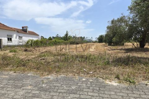 Helårsgrund i Pombal, Leiria, Pombal - € 119.000 | Ref: 2056 - foto 10