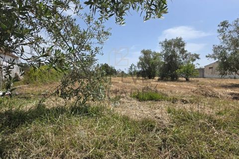 Helårsgrund i Pombal, Leiria, Pombal - € 119.000 | Ref: 2056 - foto 11