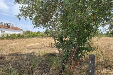 Helårsgrund i Pombal, Leiria, Pombal - € 119.000 | Ref: 2056 - foto 12