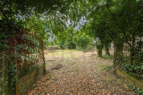 Landejendom i Roccasecca, Frosinone, Roccasecca - € 60.000 | Ref: AC99-149-1756 - foto 5
