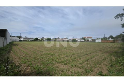 Helårsgrund i Maceda, Aveiro, Maceda - € 150.000 | Ref: UNU.I.1333.20562 - foto 1