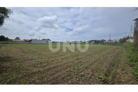Helårsgrund i Maceda, Aveiro, Maceda - € 150.000 | Ref: UNU.I.1333.20562 - foto 2