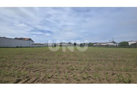 Helårsgrund i Maceda, Aveiro, Maceda - € 150.000 | Ref: UNU.I.1333.20562 - foto 3