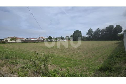 Helårsgrund i Maceda, Aveiro, Maceda - € 150.000 | Ref: UNU.I.1333.20562 - foto 4