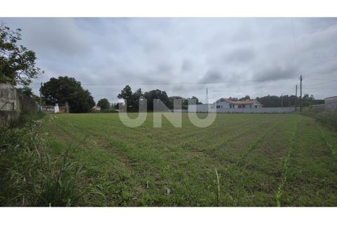 Helårsgrund i Maceda, Aveiro, Maceda - € 150.000 | Ref: UNU.I.1333.20562 - foto 5
