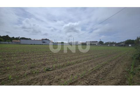 Helårsgrund i Maceda, Aveiro, Maceda - € 150.000 | Ref: UNU.I.1333.20562 - foto 6