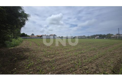 Helårsgrund i Maceda, Aveiro, Maceda - € 150.000 | Ref: UNU.I.1333.20562 - foto 7