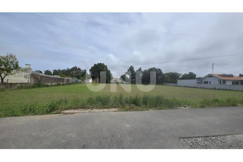 Helårsgrund i Maceda, Aveiro, Maceda - € 150.000 | Ref: UNU.I.1333.20562 - foto 8