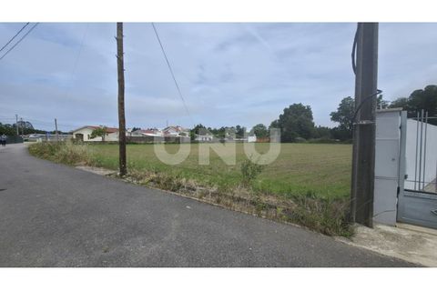 Helårsgrund i Maceda, Aveiro, Maceda - € 150.000 | Ref: UNU.I.1333.20562 - foto 10