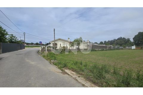 Helårsgrund i Maceda, Aveiro, Maceda - € 150.000 | Ref: UNU.I.1333.20562 - foto 14