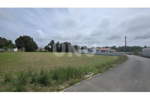 Helårsgrund i Maceda, Aveiro, Maceda - € 150.000 | Ref: UNU.I.1333.20562 - foto 15