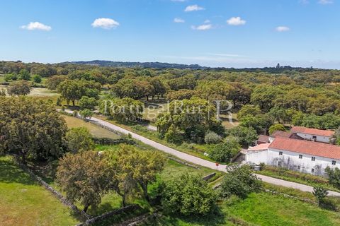 Farm i Marvao, Portalegre, Marvao - € 580.000 | Ref: FG470 - foto 2