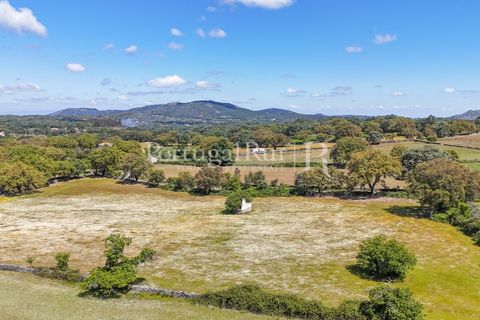 Farm i Marvao, Portalegre, Marvao - € 580.000 | Ref: FG470 - foto 4