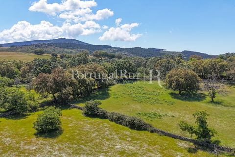 Farm i Marvao, Portalegre, Marvao - € 580.000 | Ref: FG470 - foto 5