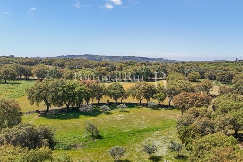 Farm i Marvao, Portalegre, Marvao - € 580.000 | Ref: FG470 - foto 6