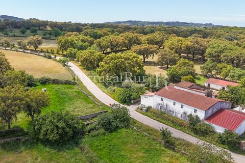Farm i Marvao, Portalegre, Marvao - € 580.000 | Ref: FG470 - foto 1