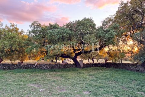 Farm i Marvao, Portalegre, Marvao - € 580.000 | Ref: FG470 - foto 44