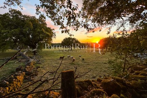 Farm i Marvao, Portalegre, Marvao - € 580.000 | Ref: FG470 - foto 47