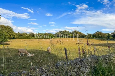 Farm i Marvao, Portalegre, Marvao - € 580.000 | Ref: FG470 - foto 48