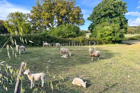 Farm i Marvao, Portalegre, Marvao - € 580.000 | Ref: FG470 - foto 49