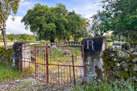 Farm i Marvao, Portalegre, Marvao - € 580.000 | Ref: FG470 - foto 50
