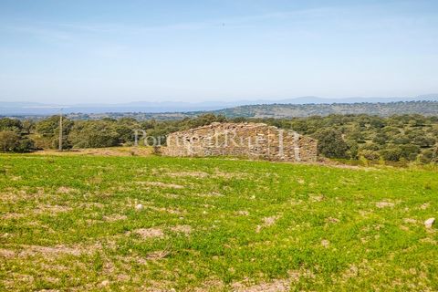 Landejendom i Rosmaninhal, Castelo Branco, Rosmaninhal - € 900.000 | Ref: MT605 - foto 9