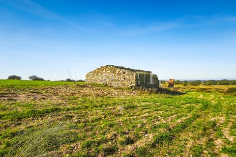 Landejendom i Rosmaninhal, Castelo Branco, Rosmaninhal - € 900.000 | Ref: MT605 - foto 10