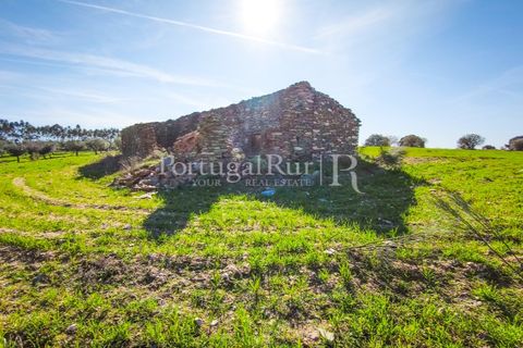 Landejendom i Rosmaninhal, Castelo Branco, Rosmaninhal - € 900.000 | Ref: MT605 - foto 11