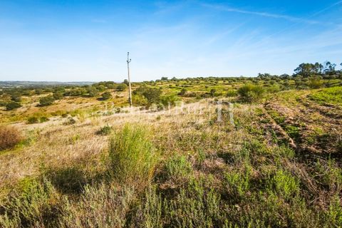 Landejendom i Rosmaninhal, Castelo Branco, Rosmaninhal - € 900.000 | Ref: MT605 - foto 13