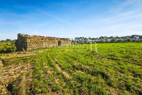 Landejendom i Rosmaninhal, Castelo Branco, Rosmaninhal - € 900.000 | Ref: MT605 - foto 15