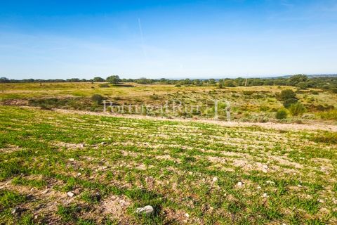 Landejendom i Rosmaninhal, Castelo Branco, Rosmaninhal - € 900.000 | Ref: MT605 - foto 17