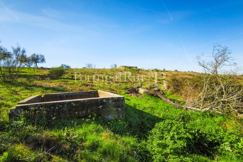 Landejendom i Rosmaninhal, Castelo Branco, Rosmaninhal - € 900.000 | Ref: MT605 - foto 19