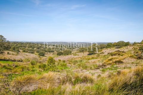 Landejendom i Rosmaninhal, Castelo Branco, Rosmaninhal - € 900.000 | Ref: MT605 - foto 20