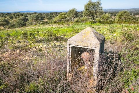 Landejendom i Rosmaninhal, Castelo Branco, Rosmaninhal - € 900.000 | Ref: MT605 - foto 23