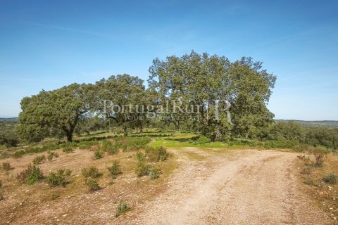 Landejendom i Rosmaninhal, Castelo Branco, Rosmaninhal - € 900.000 | Ref: MT605 - foto 29