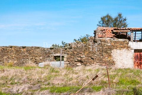Landejendom i Rosmaninhal, Castelo Branco, Rosmaninhal - € 900.000 | Ref: MT605 - foto 49