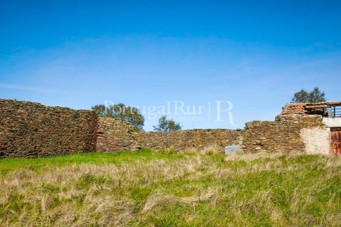 Landejendom i Rosmaninhal, Castelo Branco, Rosmaninhal - € 900.000 | Ref: MT605 - foto 50