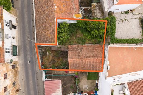 Villa a Cartaxo, Santarem, Cartaxo - € 65.000 | Ref: 281511079 - foto 19
